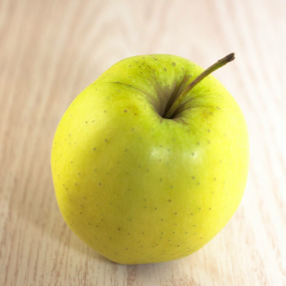 Pommier pumila golden delicious/malus pumila golden delicious[-]pot de 10l - gobelet 2 ans