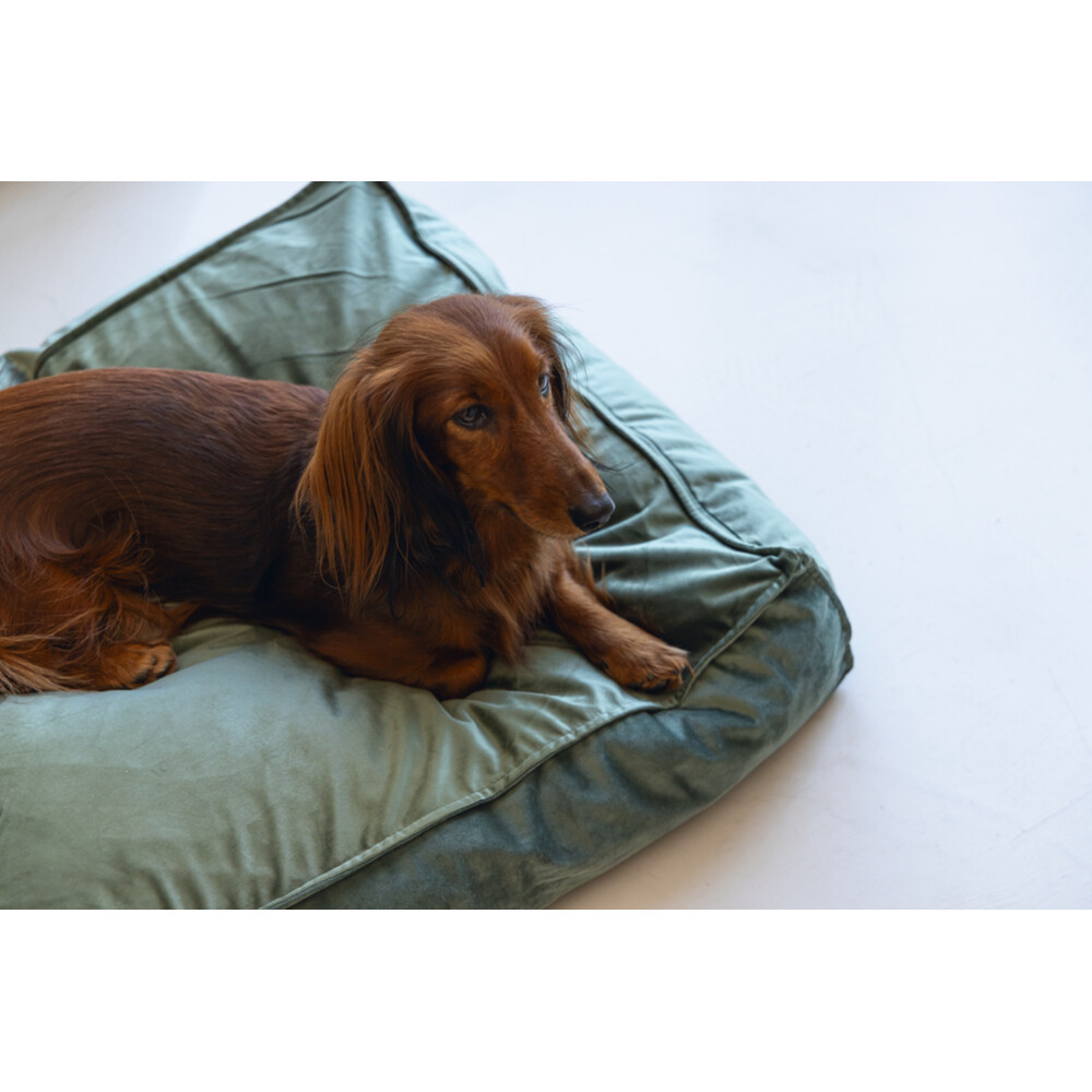 Designed by Lotte Ligkussen Nalino Hond Groen70 x 55 x 15