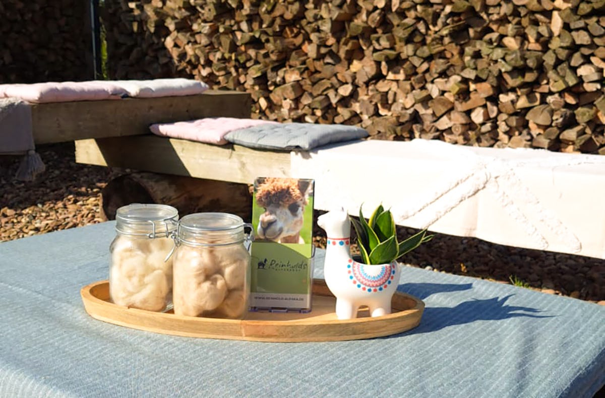 Alpaka Picknick für 2 Petershagen