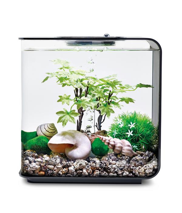 biOrb® Aquariumdeko Decor Set 15 l Sommer