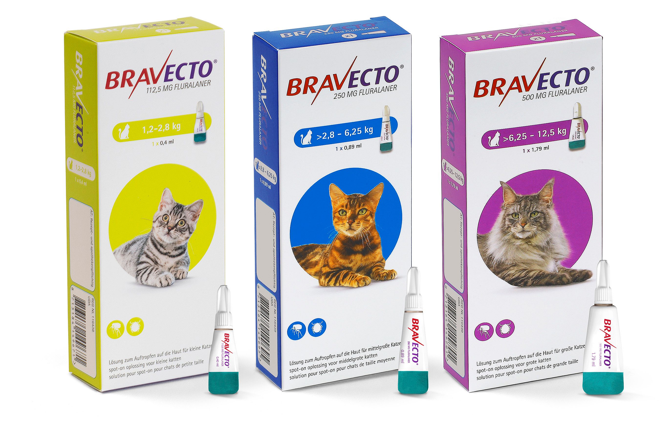 Bravecto Spot-on Pipet Kat | 11917