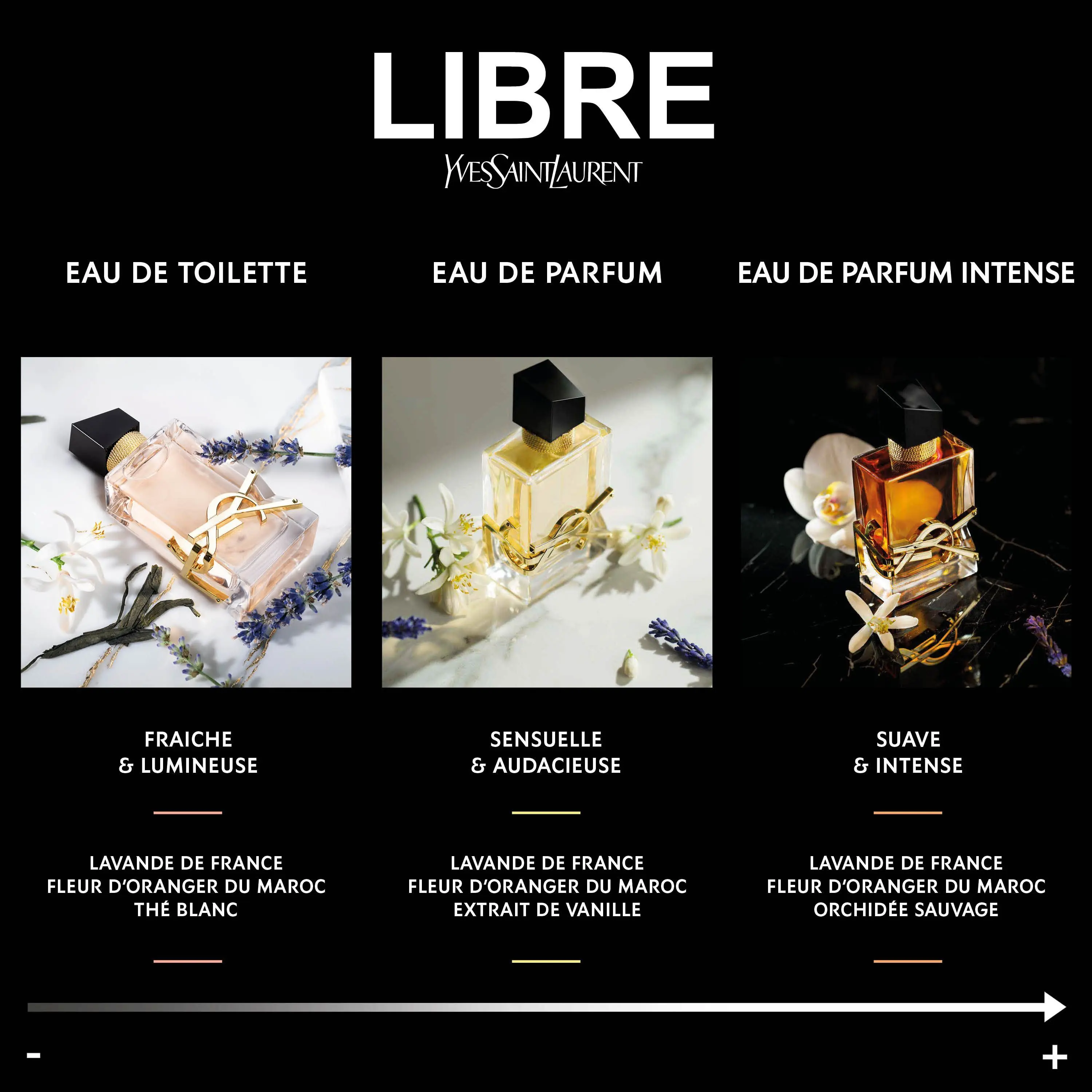 Yves Saint Laurent - Libre Eau De Parfum Intense- Eau de parfum
