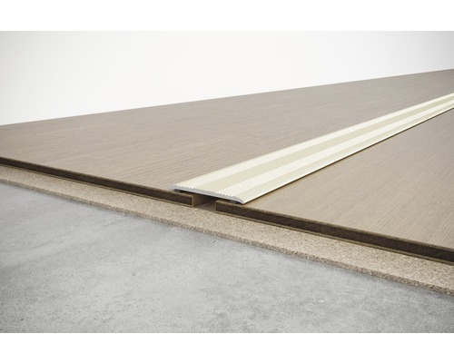 SKANDOR overgangsprofiel champagne geanodiseerd zelfklevend 2x28x2700 mm