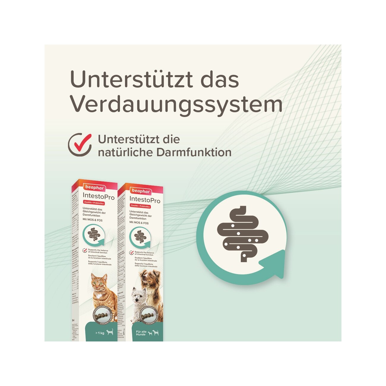 Beaphar IntestoPro Paste für Katzen 20 ml
