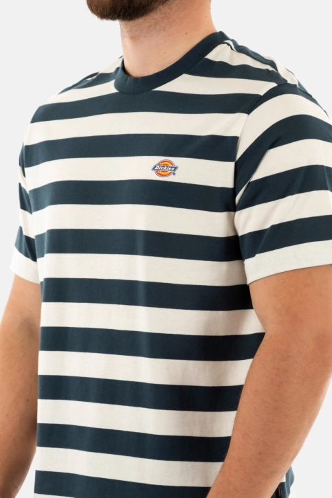 Tee shirt dickies rivergrove af01 air force blue