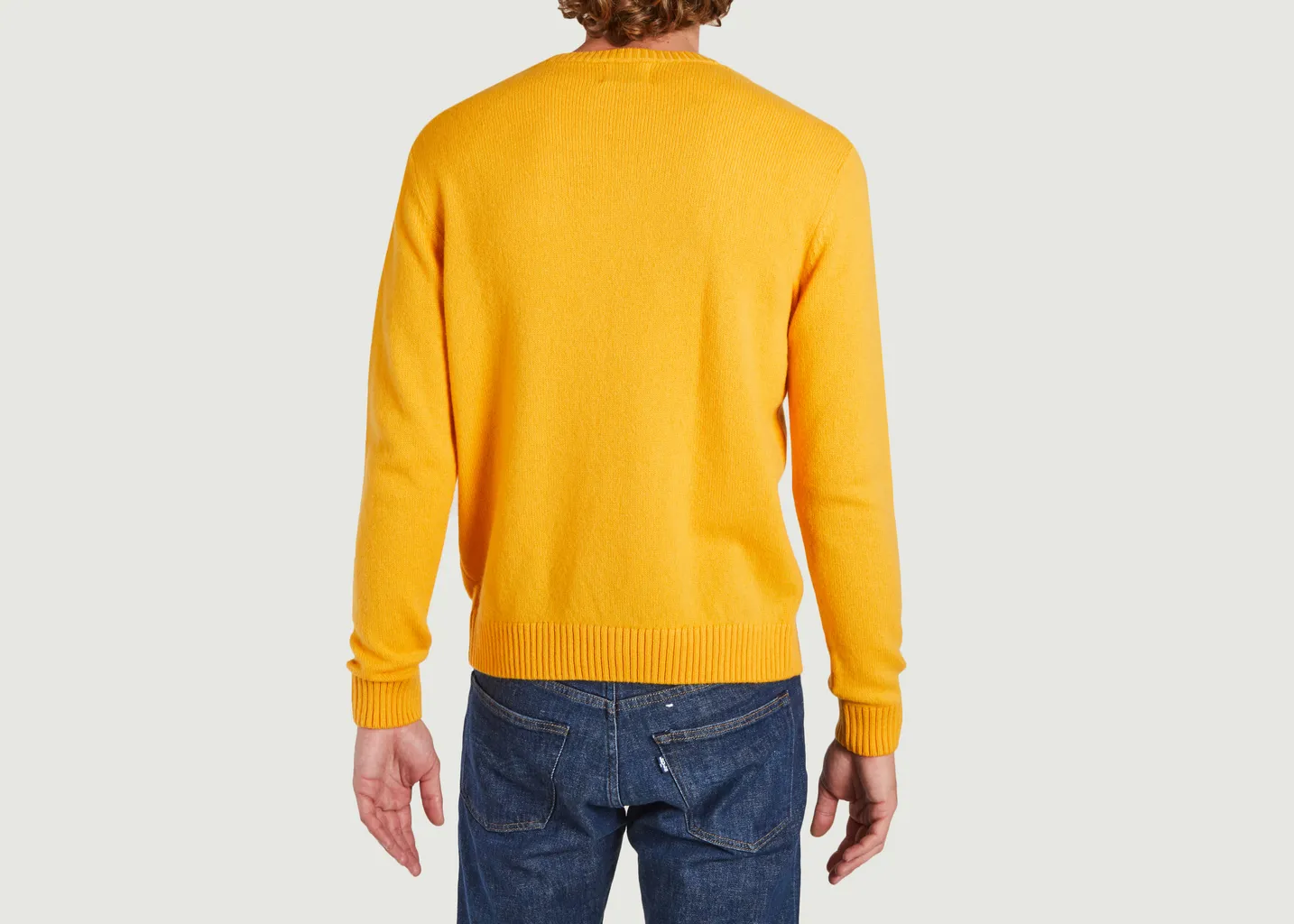 Pull classique Laine Merinos Colorful Standard