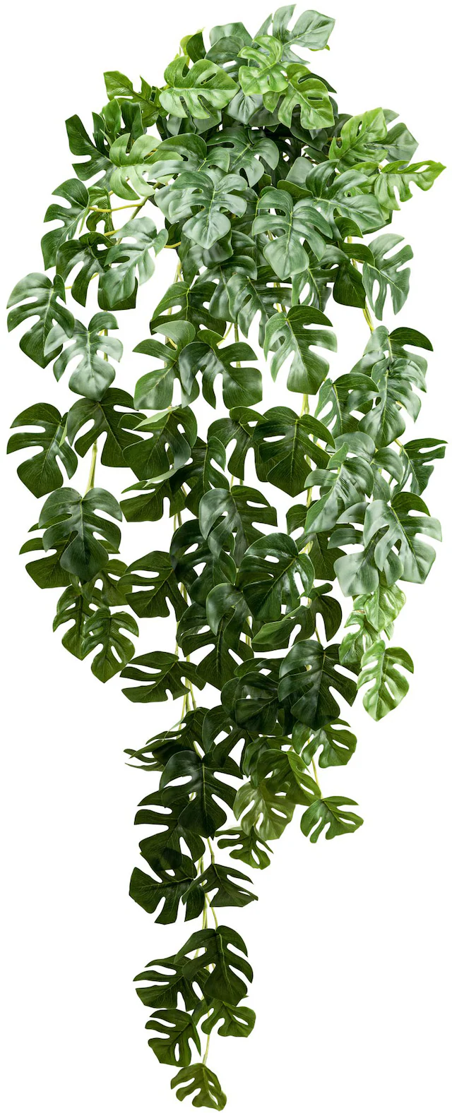 Creativ green Künstliche Zimmerpflanze »Splitphilodendron-Hängepflanze« mit zahlreichen Blättern