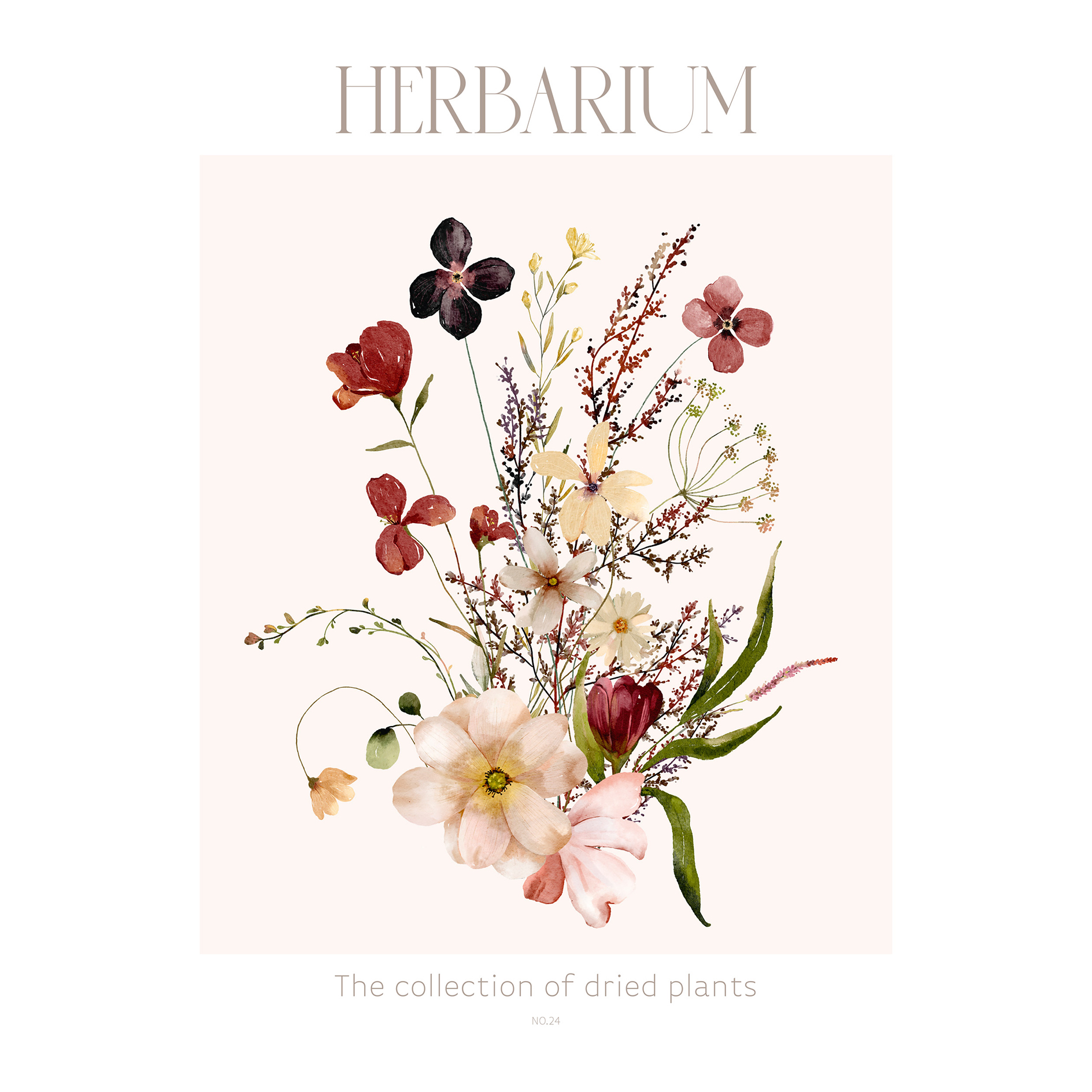 Gerahmtes Bild HERBARIUM - 30x40 cm