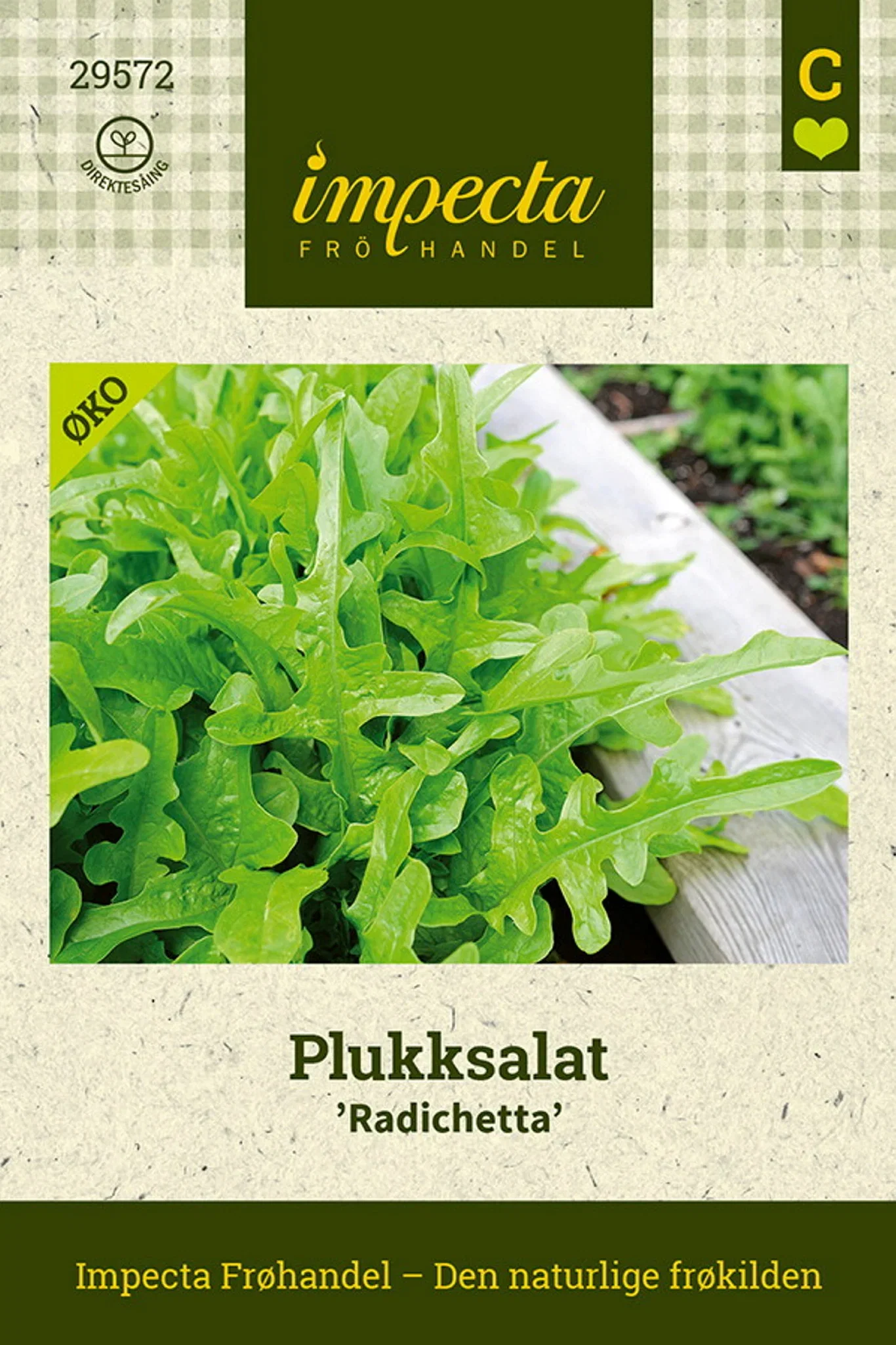 Lactuca sativa 'Radichetta' Plukksalat 'Radichetta'