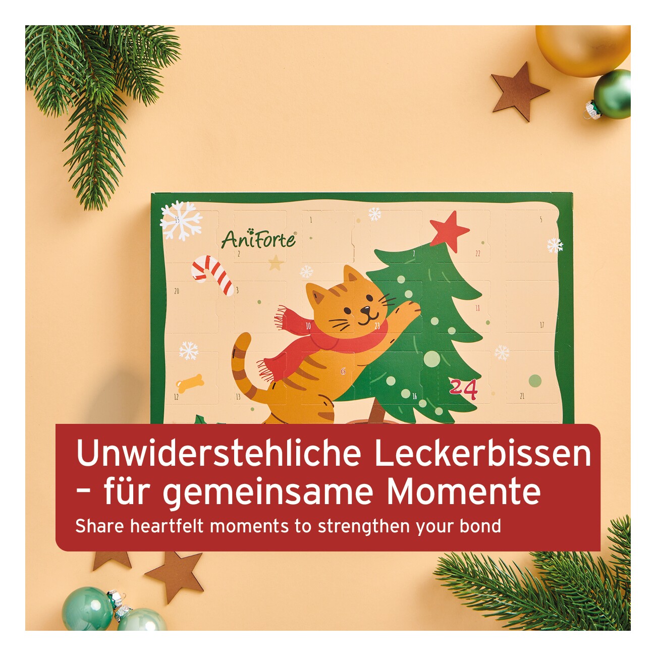 AniForte Adventskalender 2025 für Katzen