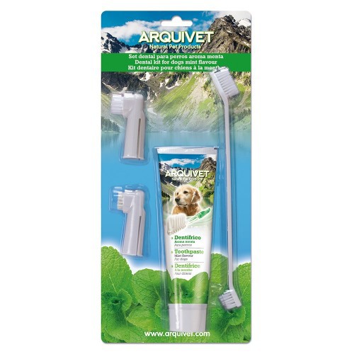 Kit dental de menta para cães, com aroma de menta.