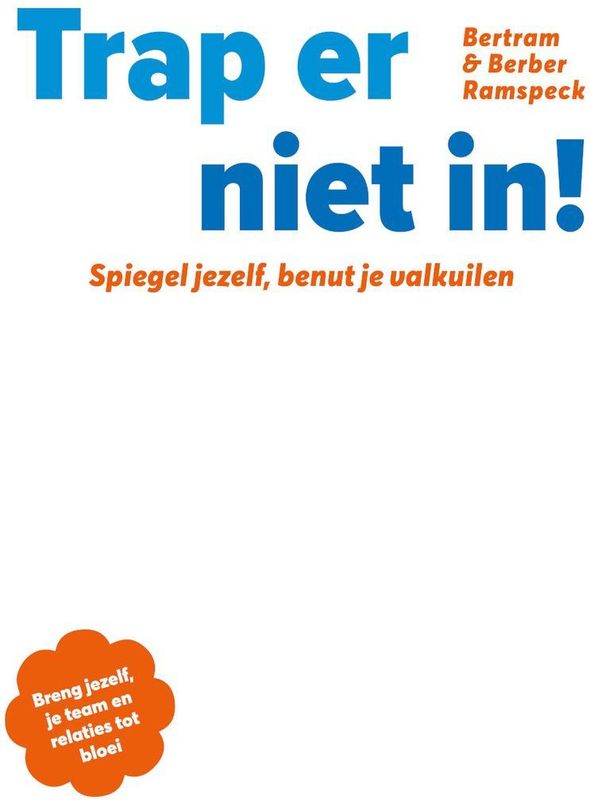 Boek - Valkuilen en Irritaties - Bertram en Berber Ramspeck