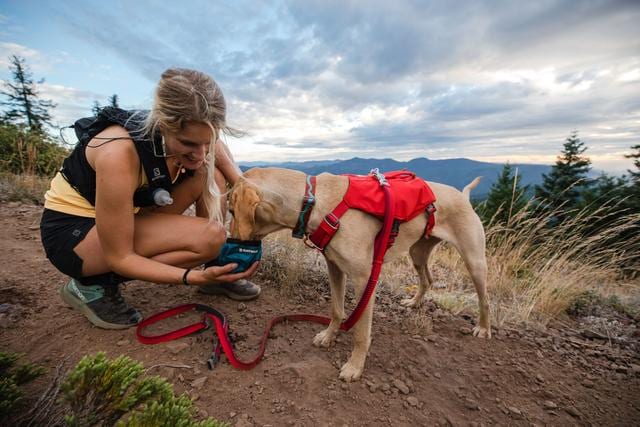 Ruffwear Switchback Harness<br>Sele med lommer!