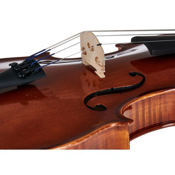 Karl Höfner H11-VA Viola 16,5