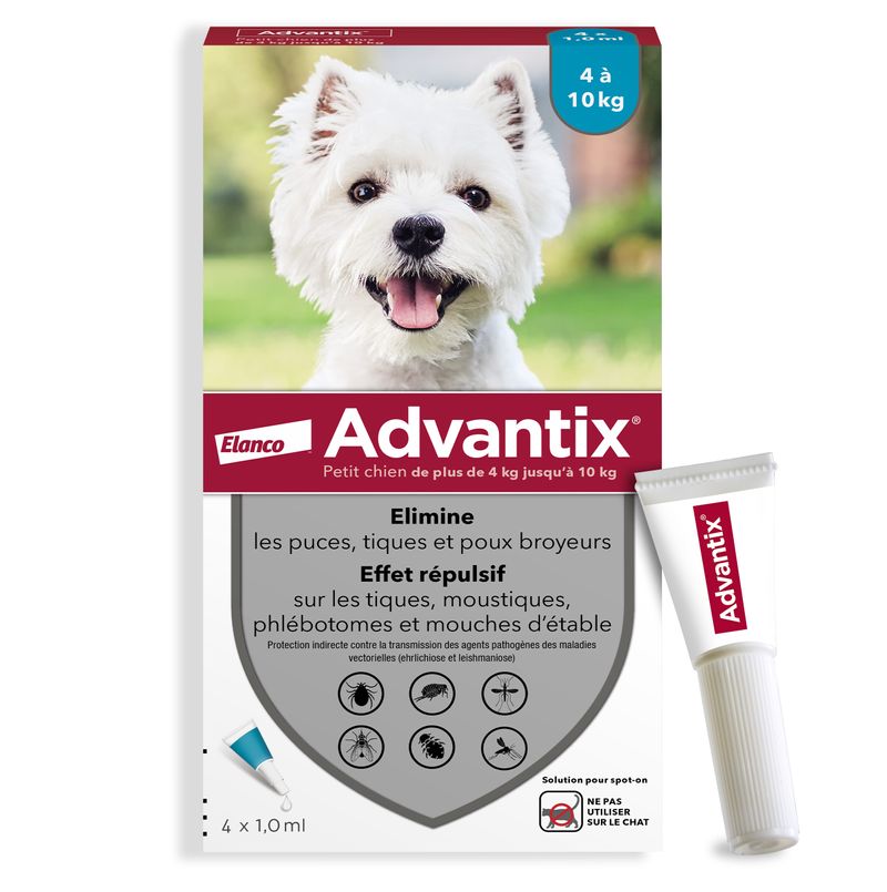 Advantix petit chien, de 4 kg à 10 kg