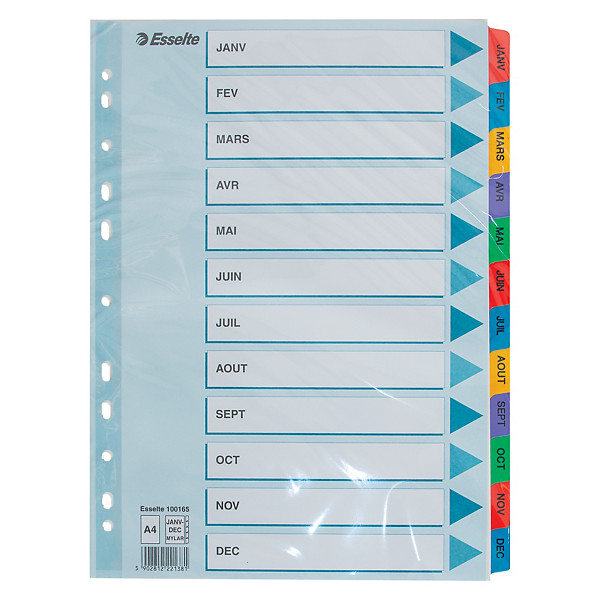 Intercalaires 12 touches mensuelles Esselte A4 carton multicolore, lot de 2 jeux