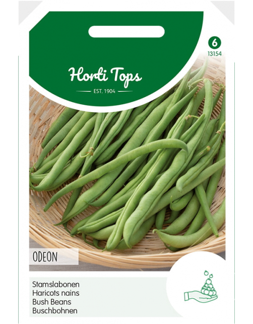 Hortitops Stamslabonen Odeon - Groentezaden - 50 g
