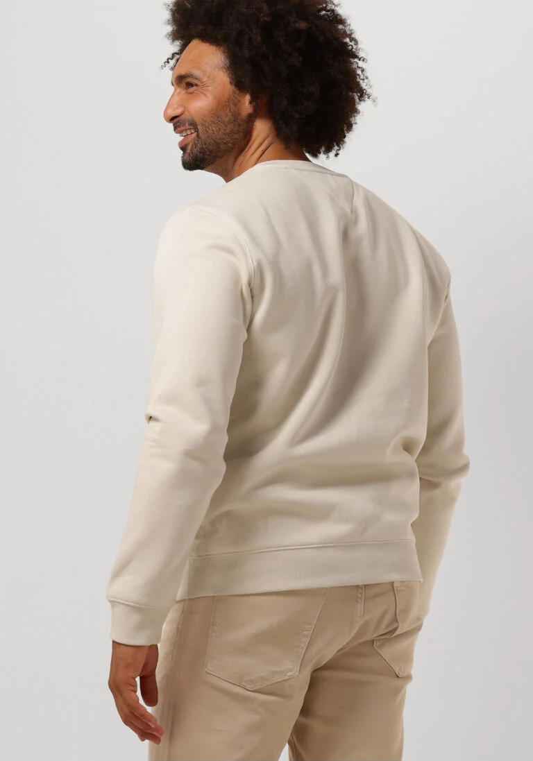 TOMMY JEANS beige tommy jeans sweater tjm regular fleece c neck