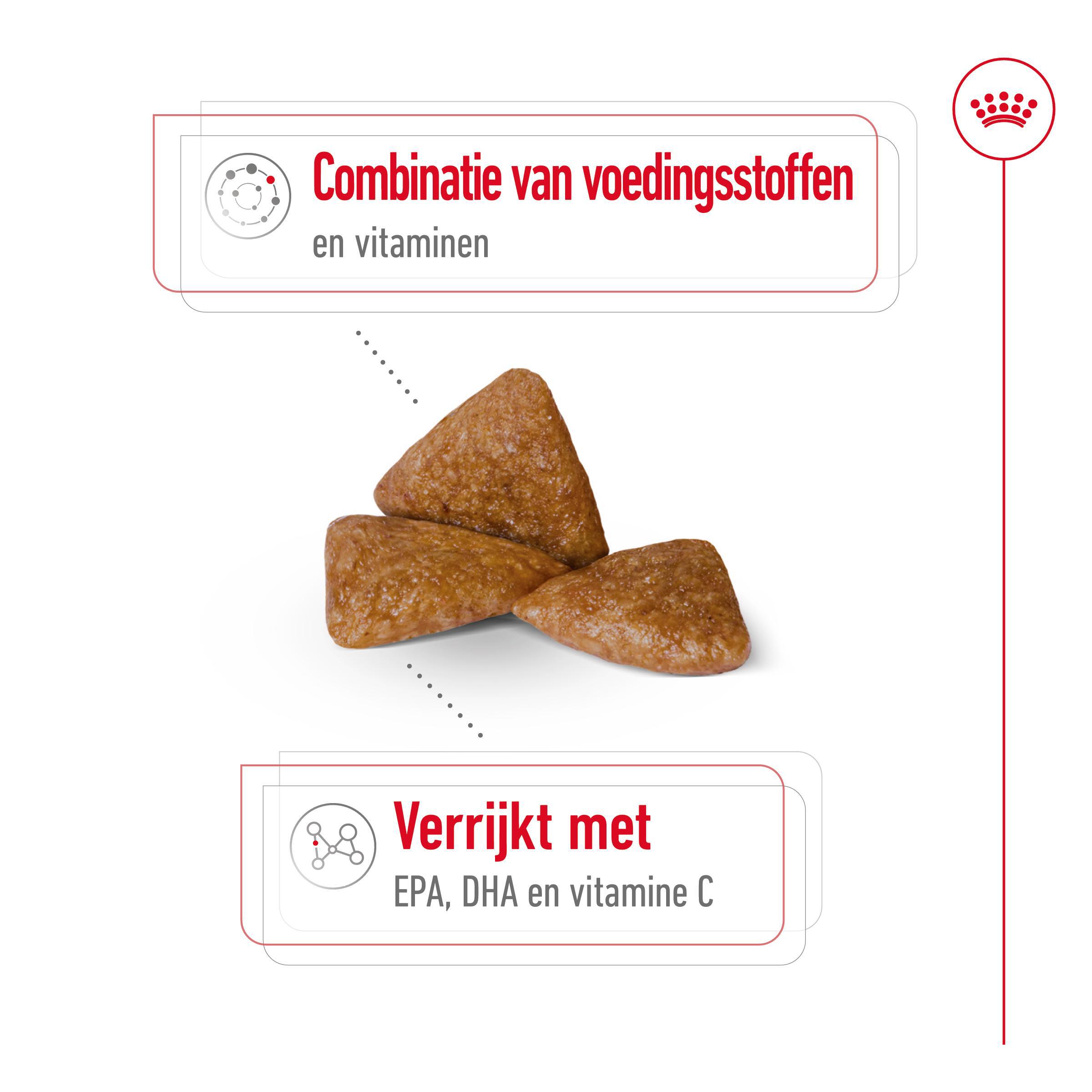 Royal Canin X-Small Ageing 12+ - Hondenvoer