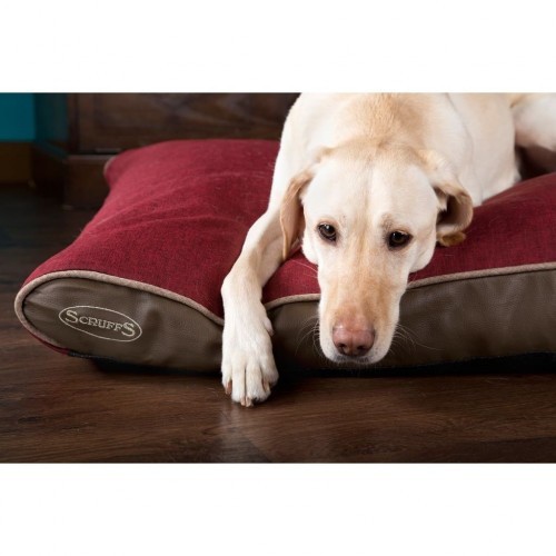 Cama ortopédica vermelha para cães