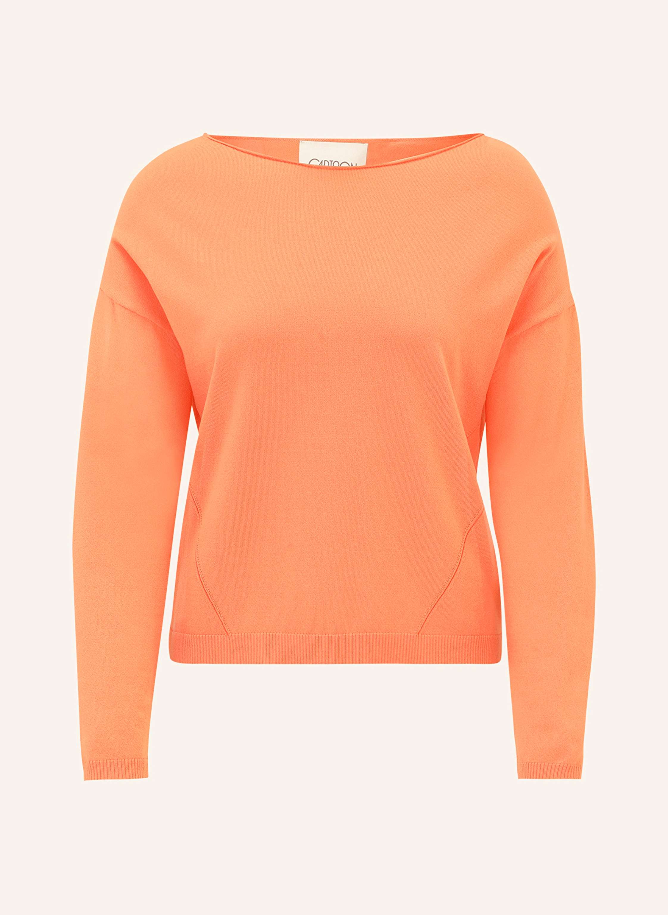 CARTOON Pullover
