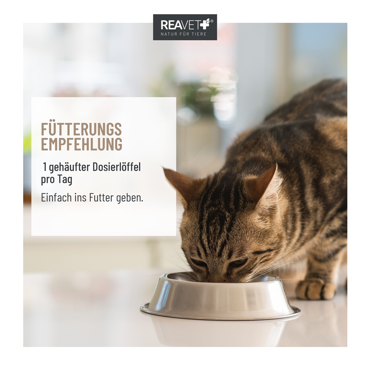 REAVET BallastoVET für Katzen 50g