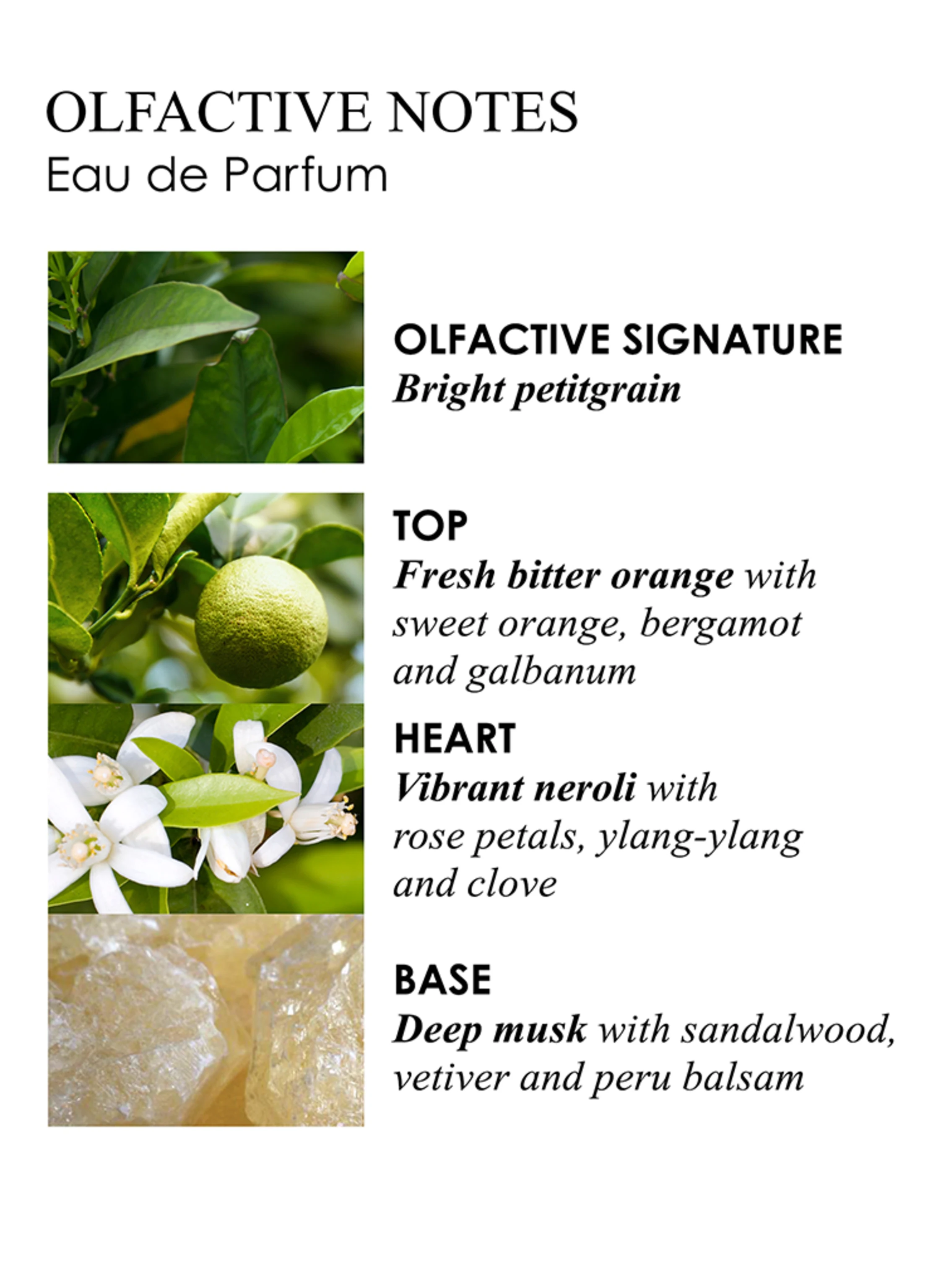 MOLTON BROWN ORANGE & BERGAMOT