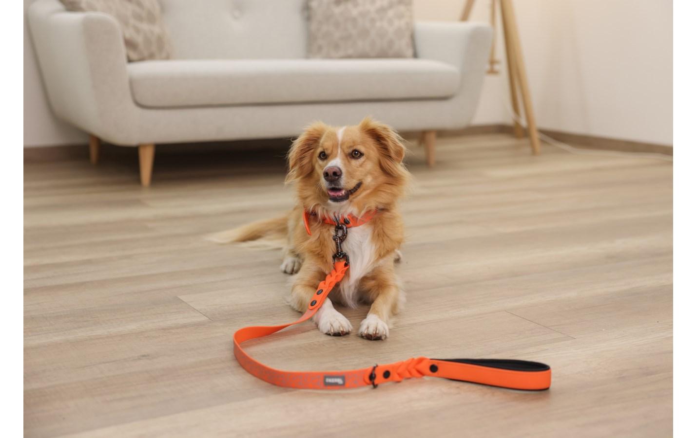 Halsband Puno 25 mm x 36 cm - 45 cmHundehalsband