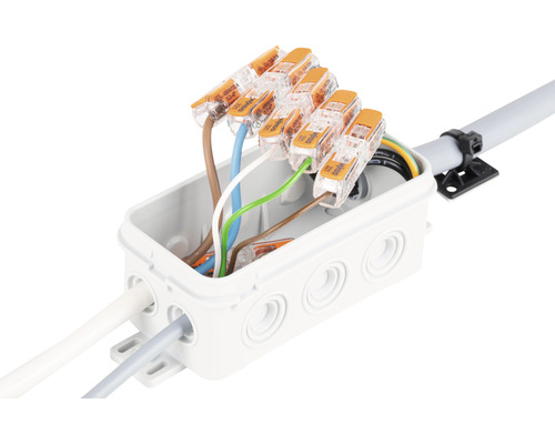 Wago 221-2411 Doorvoerconnector 0,2-4mm² 2-aderige hefboomklem 12 stuks