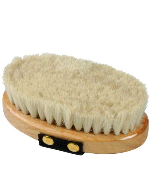 Waldhausen Glans Borstel Extrazacht - Paardenverzorging - 2.5x19 cm Extra Zacht