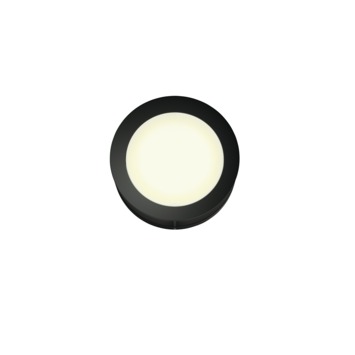 Philips buitenlamp Actea zwart