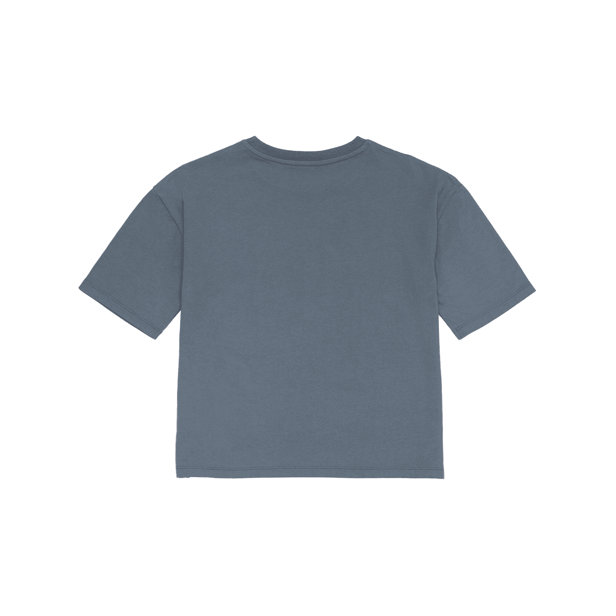 AMARA - Tee-shirt droit col rond en coton sérigraphié | Bleu