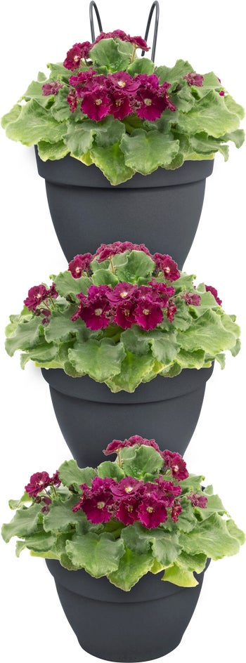 Elho plantenbak voor verticale tuin Vibia Campana Vertical Forest antraciet 20,7 x 17,1 x 29,7 cm