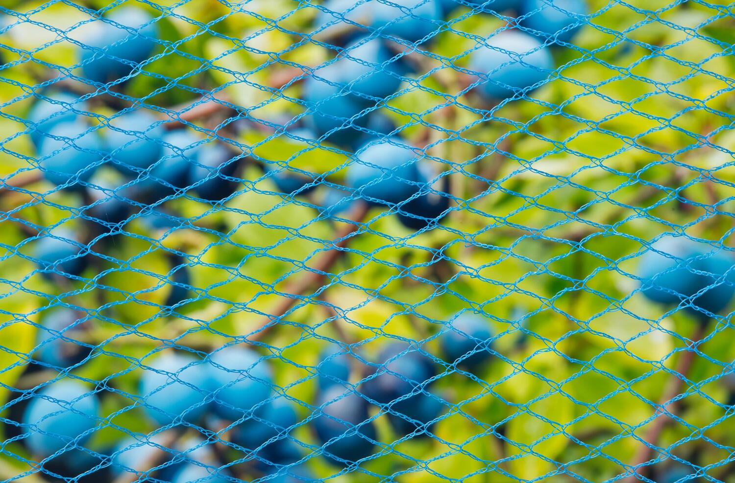 Nature tuinnet Nano maaswijdte 8x8mm 5 x 2m blauw