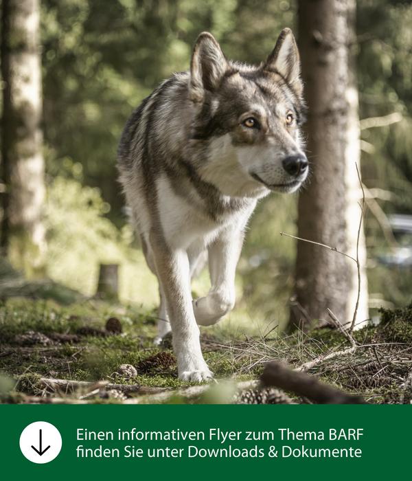 Dehner Wild Nature BARF-Ergänzungsfutter für