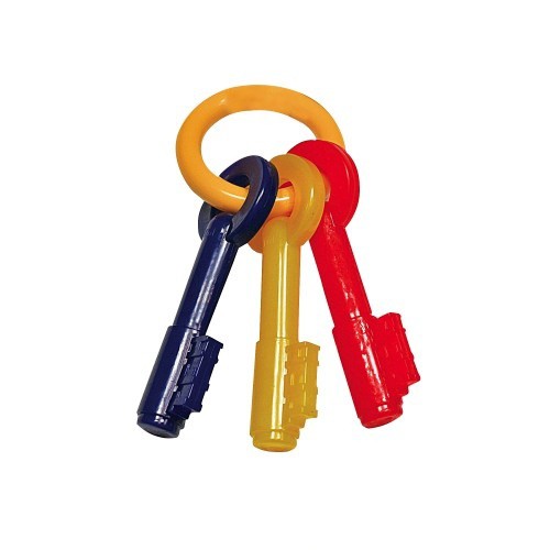Chaves de brinquedo para cachorros, várias cores
