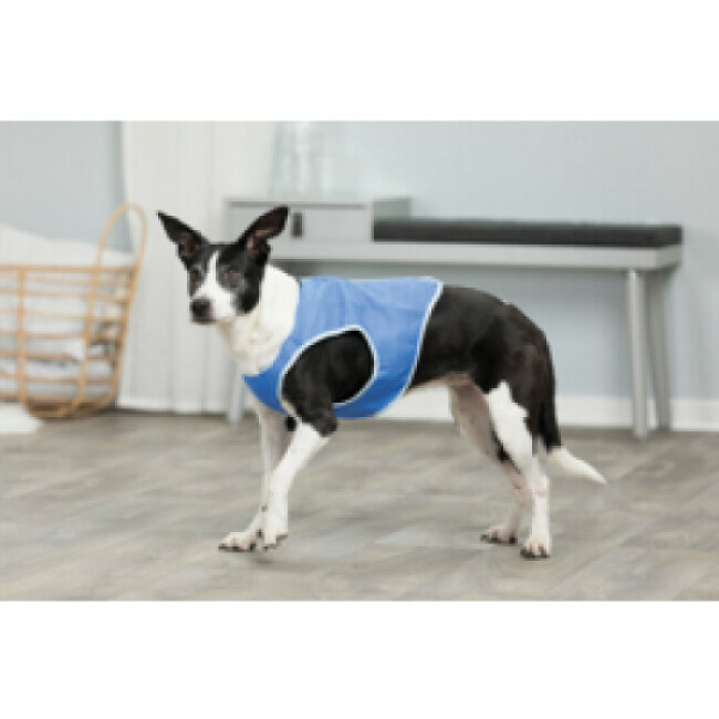 Veste rafraîchissante Trixie pour chien