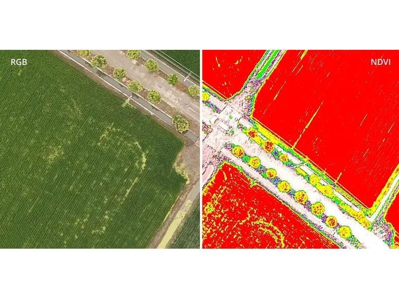 DJI Enterprise Multikopter Phantom 4 Multispectral DJI Care Zuverlässige Drohne für Land- und Forstwirtschaft