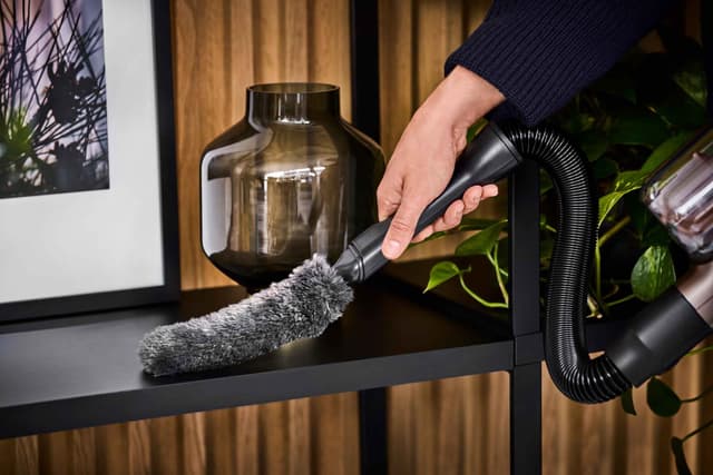 Electrolux sugedrevet støvrenser ZE146