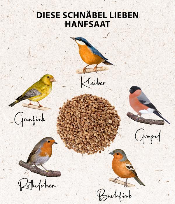 Dehner Natura Premium Wildvogelfutter Hanfsaat