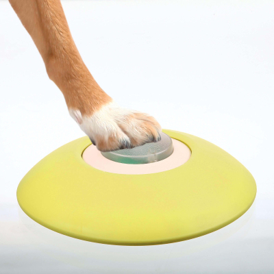 Trixie Dog Activity Memory Trainer Intelligenzspielzeug