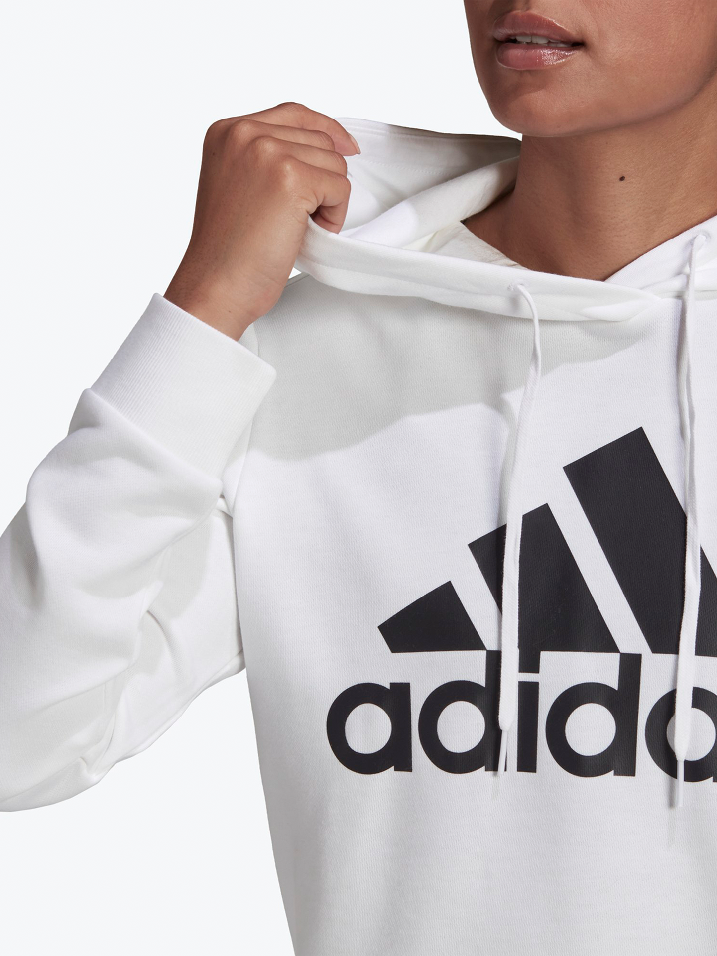 Big Logo French Teddy Hoodie
