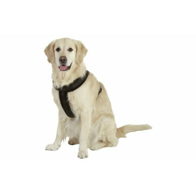 Harnais Cross Flamingo pour chien