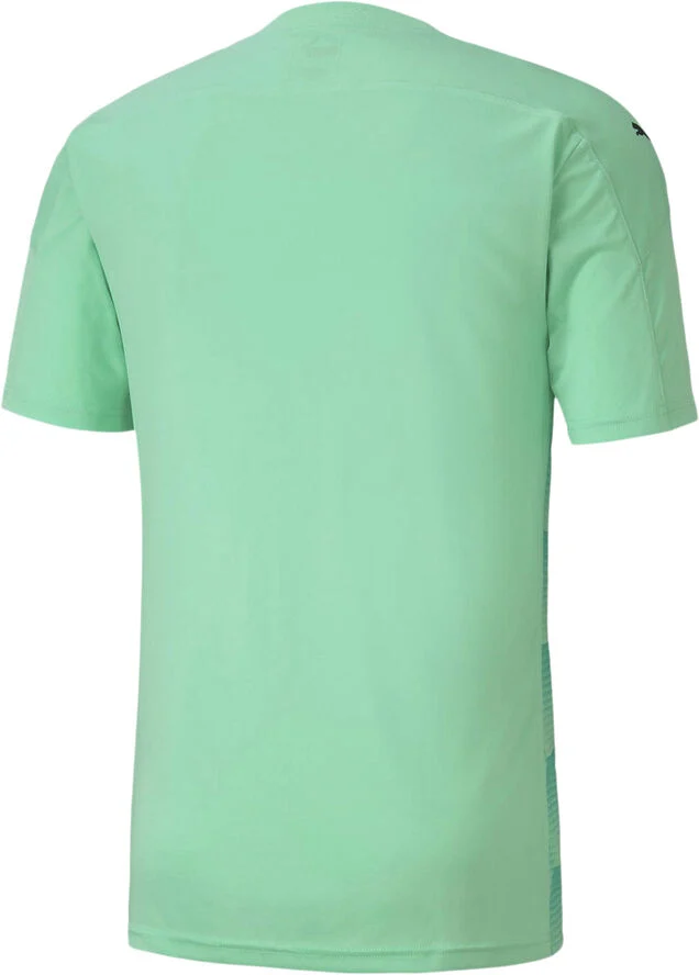 Puma Teamfinal 21 Graphic T-shirt Grøn