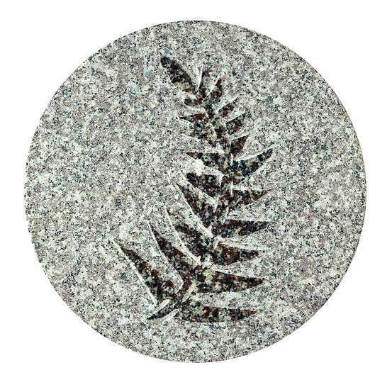 Pas de jardin fossile, en granit Ø 30 cm - Fougère