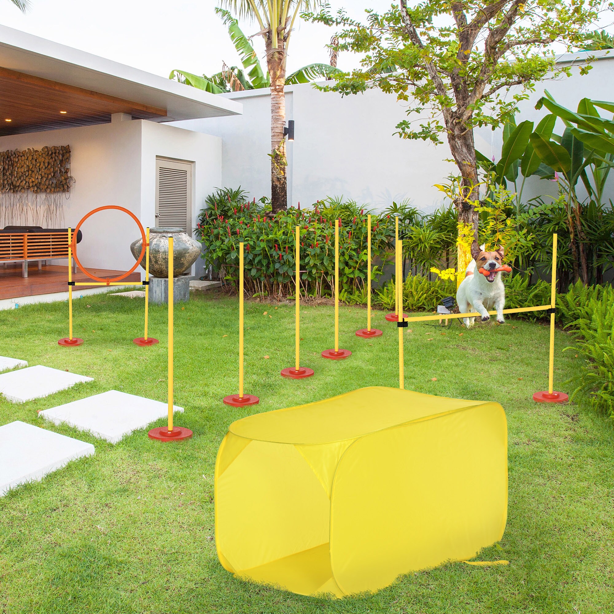 PawHut Agility Set für 4 verschiedene Trainingsvarianten gelb