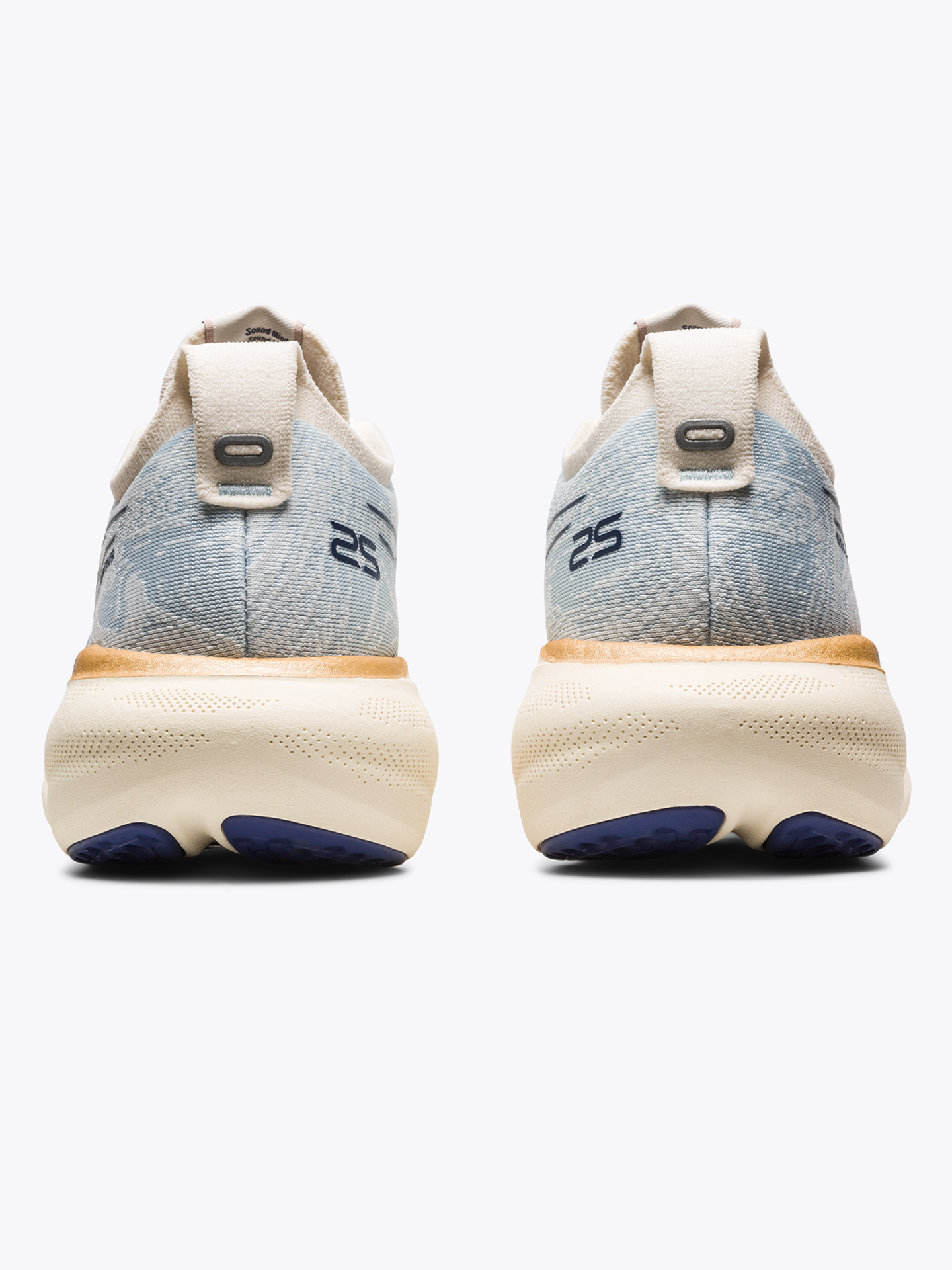 Gel-Nimbus 25