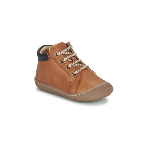 GBB - APORIDGE FLEX - Marron