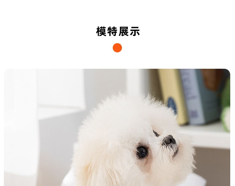 Cissilli - Dierenapplicatie voor huisdieren (diverse ontwerpen)