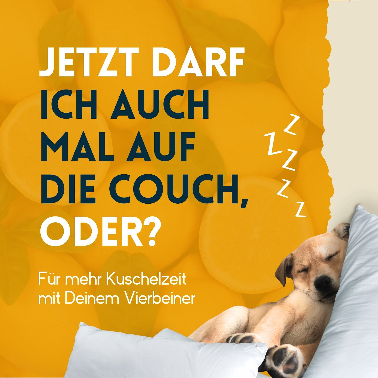 nimo Haustier Geruchsentferner